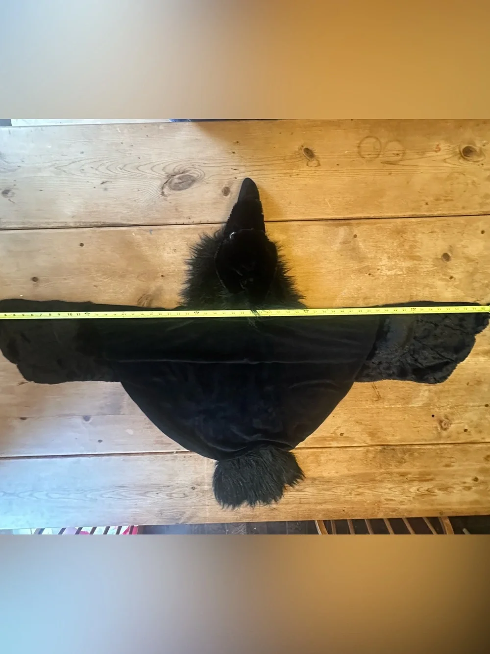 Historic Royal Palaces Raven dress-up cape